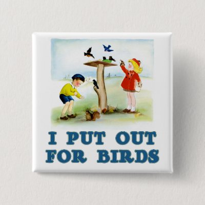 Put Out For Birds (kids) Button