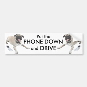 Put The Phone Down And Drive Bumper Sticker