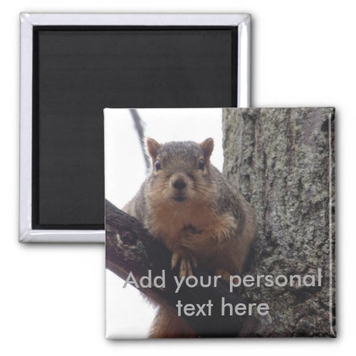 Put this squirrel on your fridge magnet