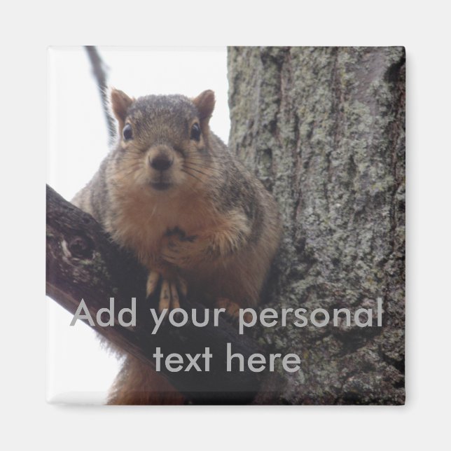 Put this squirrel on your fridge magnet (Front)