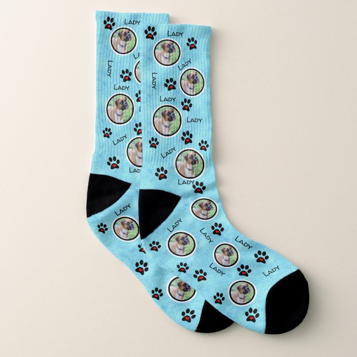Put Your Dog on Socks Dog Pictures on Blue Zazzle