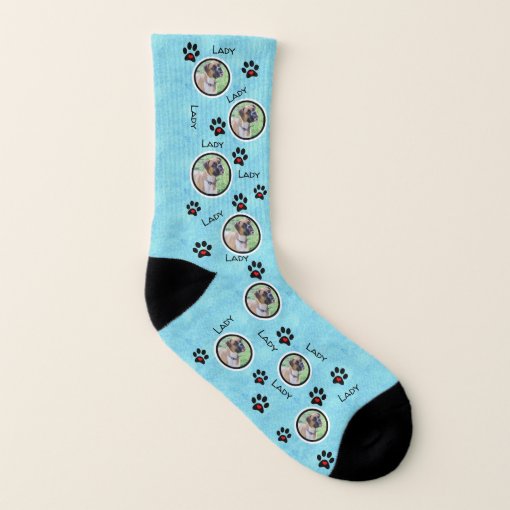 Put Your Dog on Socks Dog Pictures on Blue Zazzle