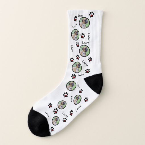 Put Your Dog on Socks Fun Dog Pictures on Socks Zazzle