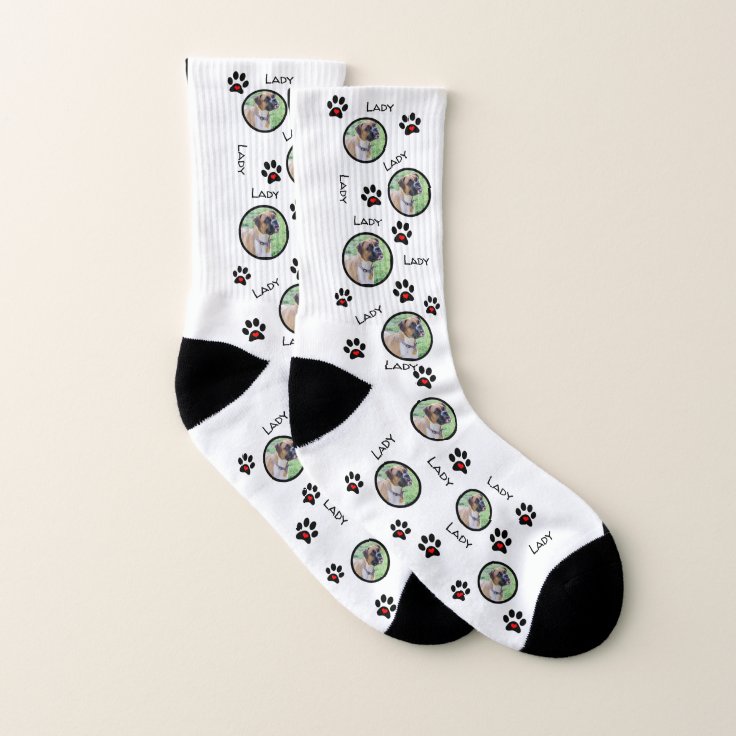 Put Your Dog on Socks Fun Dog Pictures on Socks Zazzle