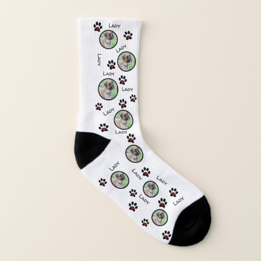 Put Your Dog on Socks Fun Dog Pictures on Socks Zazzle