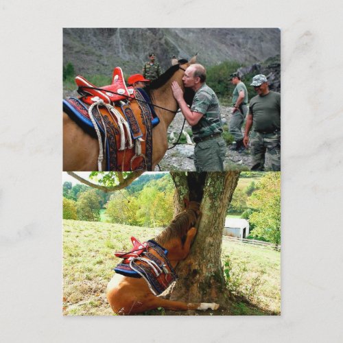 Putin And A Horse  ÐÐÐÐÐÐÐÑ ÐŸÑƒÑÐÐ ÐŸÐÑÐµÐÑƒÐ ÐÐÐµÑÑÐ Postcard