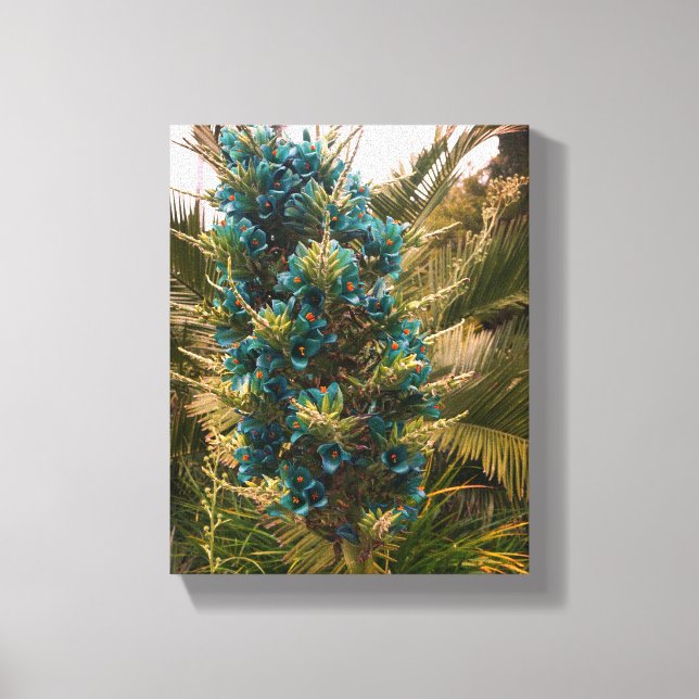 Puya Berteroniana #1 Canvas Print (Front)