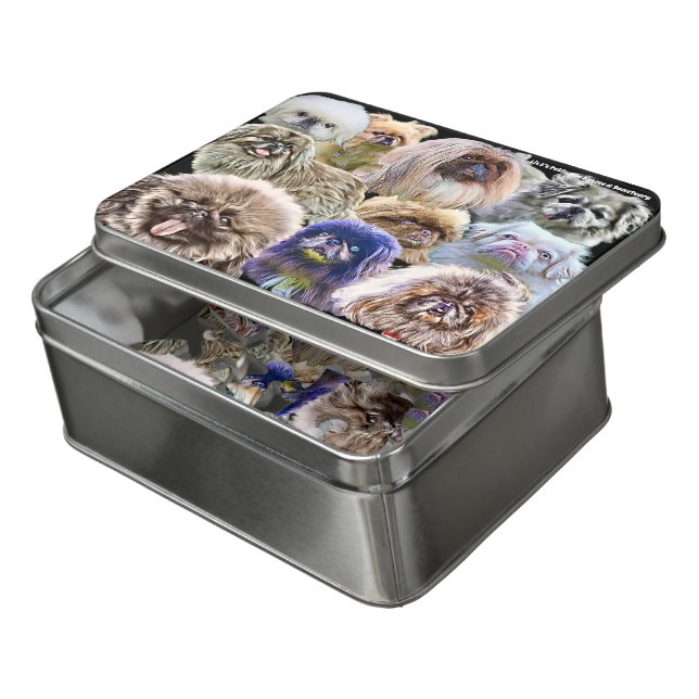 Puzzle (Lid Open)