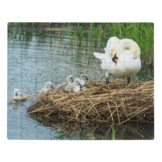 Puzzle (Puzzle Horizontal)