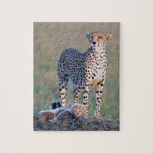 cheetah cat mouse puzzle