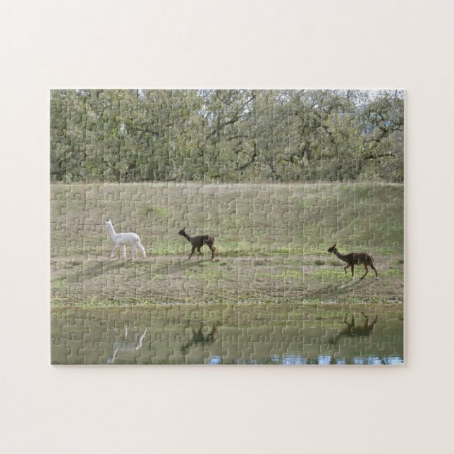 Puzzle - Alpaca Reflections (Horizontal)