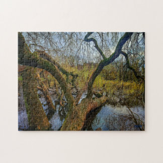 puzzle ‘Árboles del agua - Parque en Ámsterdam’