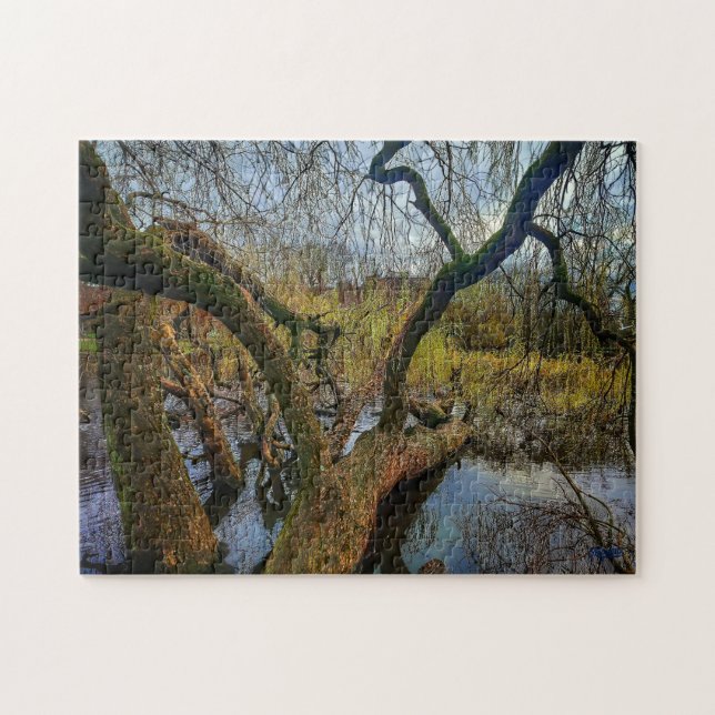 puzzle ‘Árboles del agua - Parque en Ámsterdam’ (Horizontal)