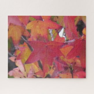 Puzzle - Autumn Leaves