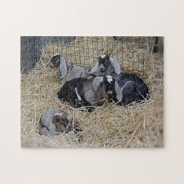 Puzzle Baby Goats (Horizontal)