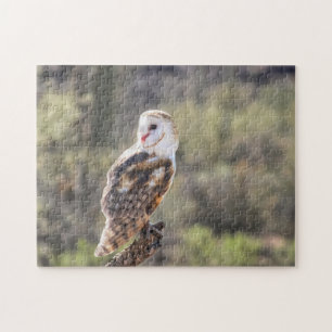Puzzle: Barn Owl 1 Jigsaw Puzzle