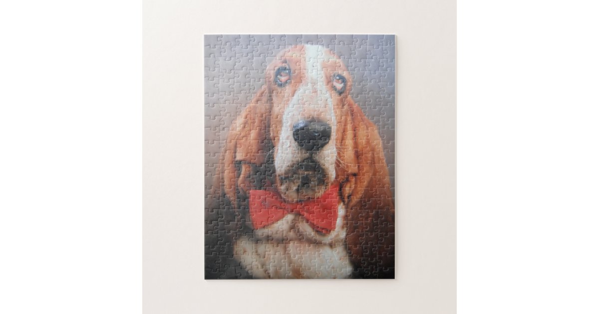 basset hound bow tie