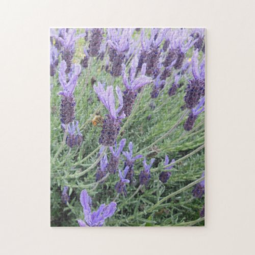 Puzzle: Bee on French Lavender Jigsaw Puzzle