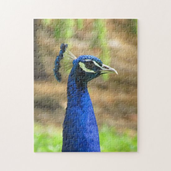 Puzzle - Blue Peacock Head