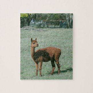 Puzzle - Brown Alpaca in Field