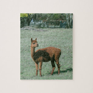 Puzzle - Brown Alpaca in Field