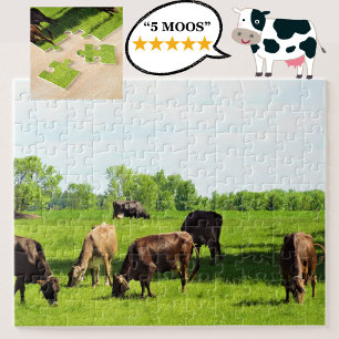 Puzzle - brown cows grazing in green farm pasture