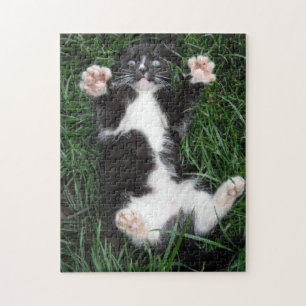 Puzzle Cat Hugs