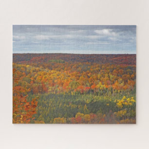 PUZZLE DENSE FOREST OF TREES WITH FALL COLORS