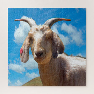 Puzzle - Goat Portrait