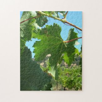 Puzzle - Grape Vine