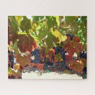 Puzzle - Grape Vines
