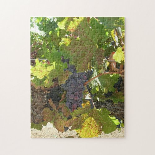 Puzzle _ Grapes on Vine