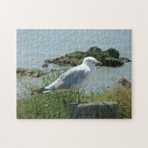 Puzzle _ Gull on Piling