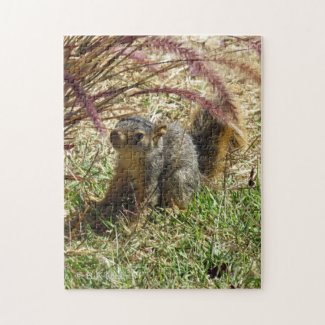 Puzzle - Inquisitive Squirrel