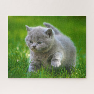 Puzzle - Kittens at play