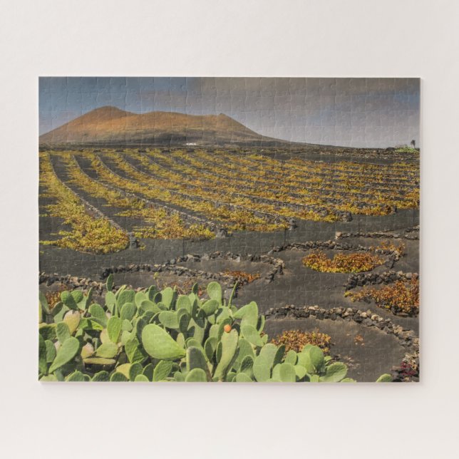 Puzzle Landscape of Lanzarote - Vineyard (Horizontal)