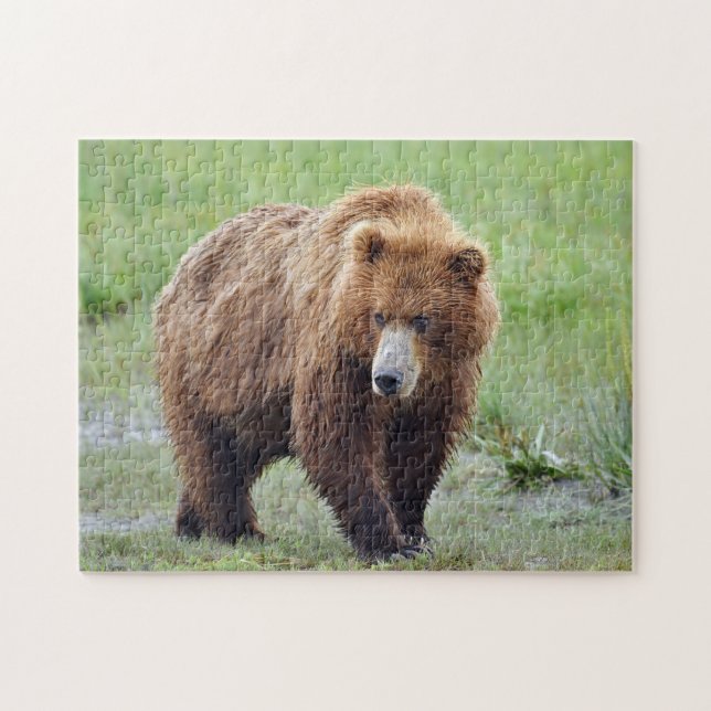 Puzzle of grizzly bear (Horizontal)
