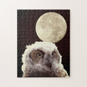 Puzzle - Owl and Moon
