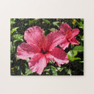 Puzzle - Pink Hibiscus Blossoms (2)