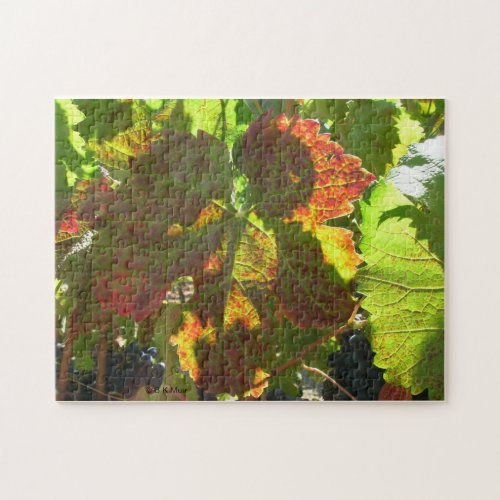 Puzzle _ Red Grape Leaf on Vine