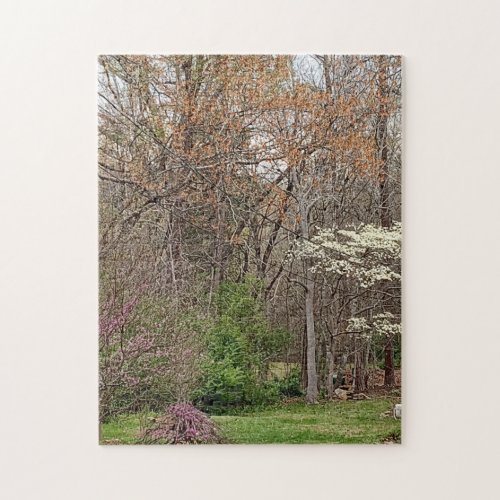 Puzzle Scenic Landscape