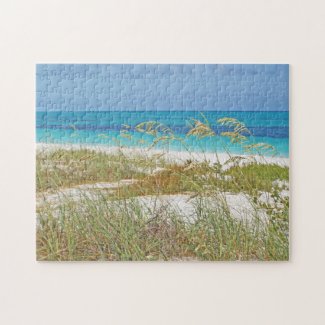 Puzzle/Seagrass, Beach. Turquoise Caribbean Sea