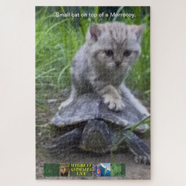 Puzzle small cat on top of a Morrocoy. (Vertical)