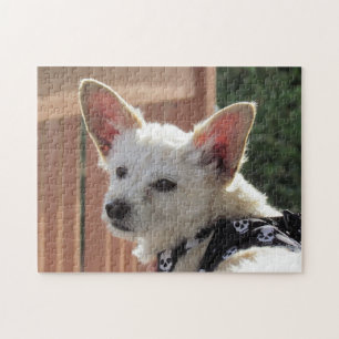 Puzzle - Small White Dog