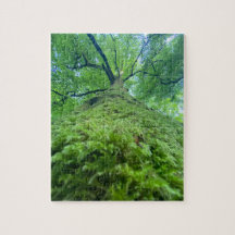 Puzzle Tree Moss