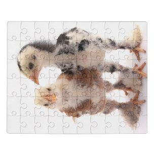 puzzle with, animals, happy living on farm