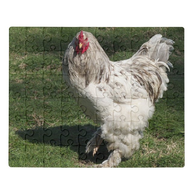 puzzle with, animals, happy living on farm (Puzzle Horizontal)
