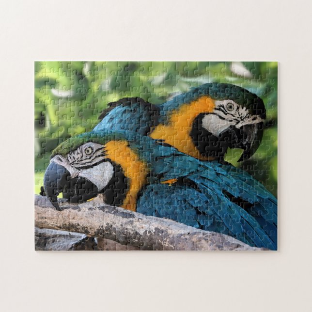 Puzzle with Gift Box/Parrots (Horizontal)