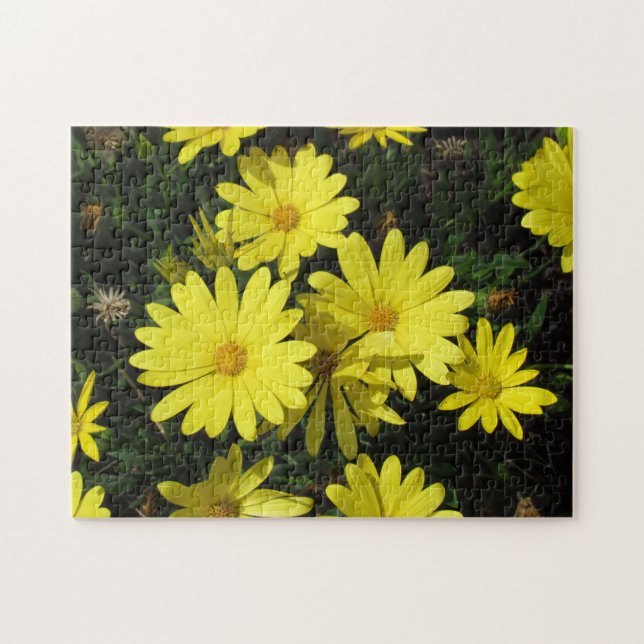 Puzzle - Yellow Daisies (Horizontal)