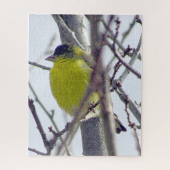 Puzzle - Yellow Finch in Winter Tree